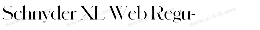 Schnyder XL Web Regu字体转换